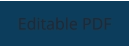 Editable PDF